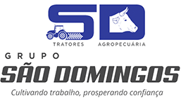Grupo São Domingos